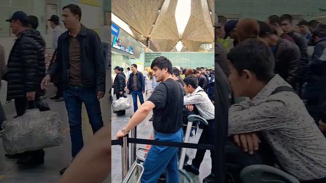 Аэропорт Пулково❗✈✈🇰🇬🇹🇯🇺🇿 тел +7950.037.30.53 смотреть онлайн
