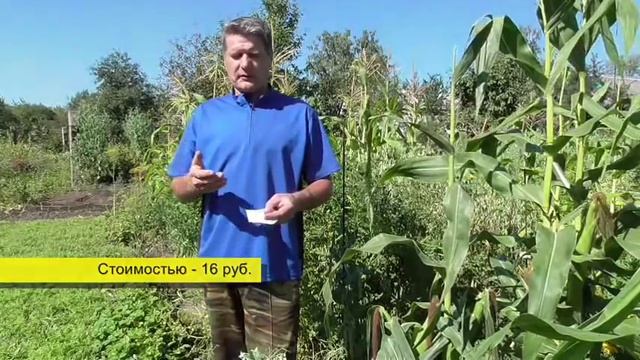 Строительные Чудесники