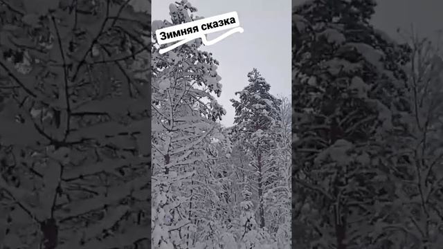 Зимняя сказка под конец 2021 года | Зимние чудеса Карелии смотреть онлайн