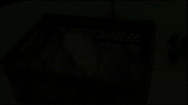 ЗИМА , ПОСТОЙ , НЕ УХОДИ смотреть онлайн