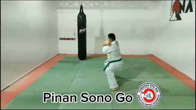 PINAN SONO GO - DEMONSTRAÇÃO DE KATA смотреть онлайн