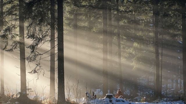 Спокойная музыка для глубокого сна и восстановления сил смотреть онлайн