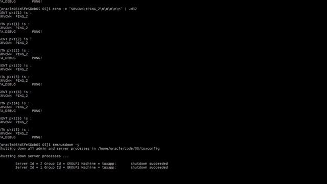 Modernizing Oracle Tuxedo Applications with Python | 5. Developing Servers and Clients смотреть онлайн