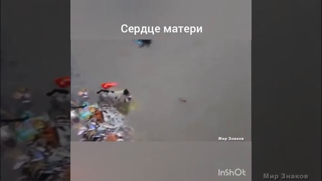 Сердце матери смотреть онлайн