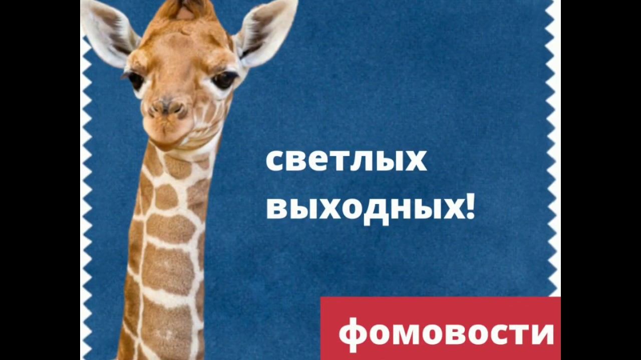 Фомовости: только хорошие новости. Выпуск 2 смотреть онлайн