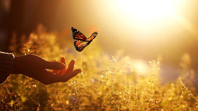 Carlos Santana - "Luz Amor Y Vida" смотреть онлайн