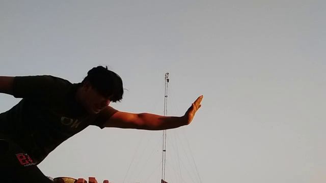 DEMONSTRATION OF THE POWER OF A PALM смотреть онлайн