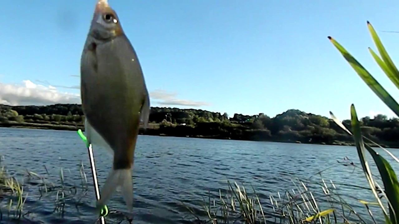 Вот это рыбалка!!. Рыбалка в ураган, Хороший улов. смотреть онлайн