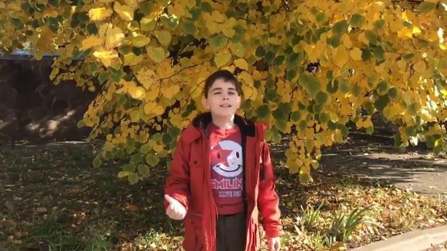 Зуб Владимир, 10 лет. Л. Некрасова "Рыжий цвет". Педагог Перунова С. Н. смотреть онлайн
