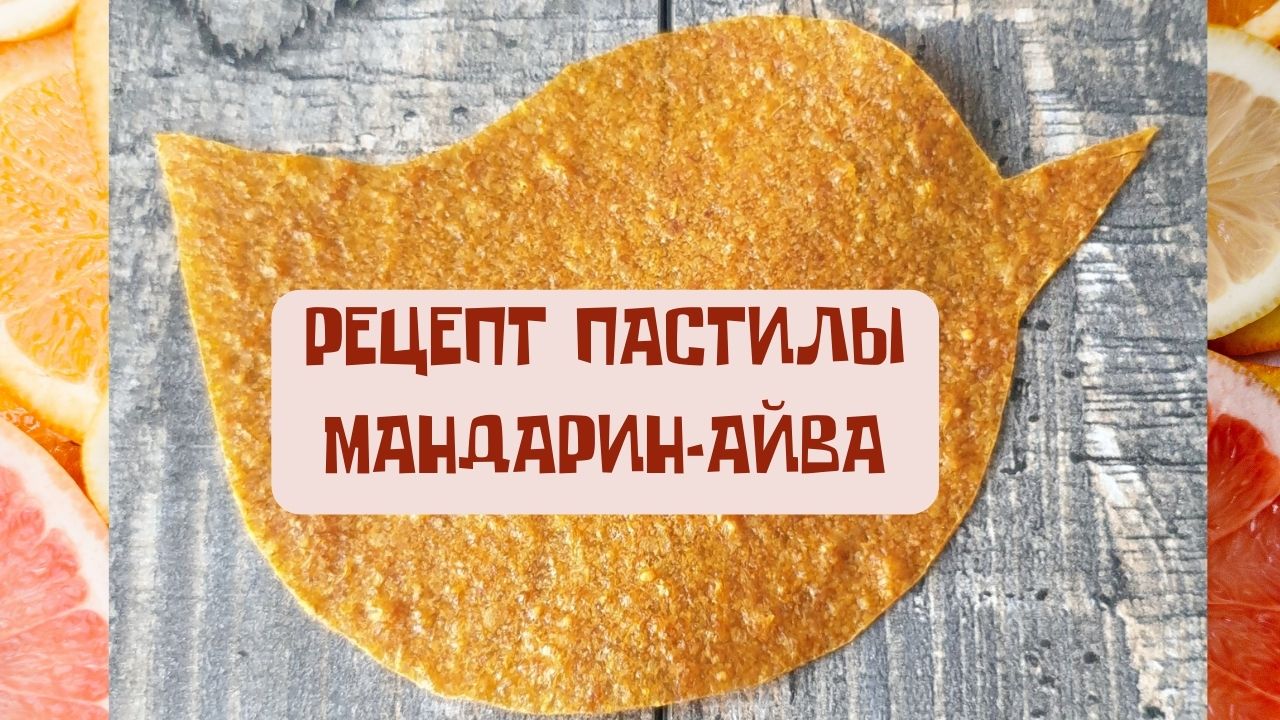 РЕЦЕПТ ПАСТИЛЫ МАНДАРИН-АЙВА?