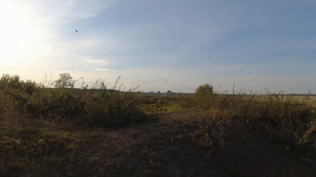 Охота с ТОЗ-54.Чирок и воронье.Дары и краски осени. смотреть онлайн