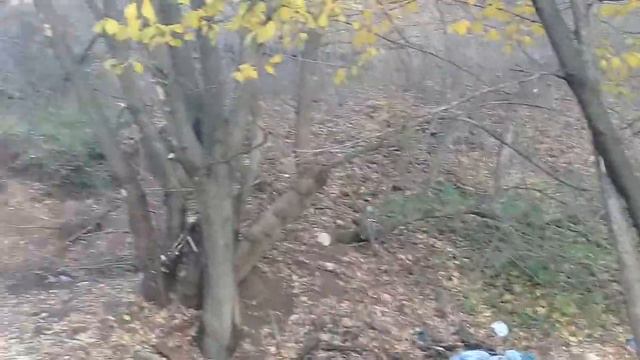 Сходили на розветку на зоброшоное здание! Там были люди в чёрных масках!! смотреть онлайн