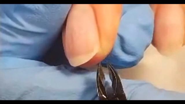 Срез кутикулы кусачками