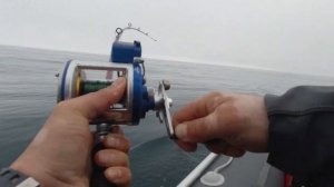 Троллинг !! СИМА . 11.06.22. НАХОДКА ПРИМОРСКИЙ КРАЙ.