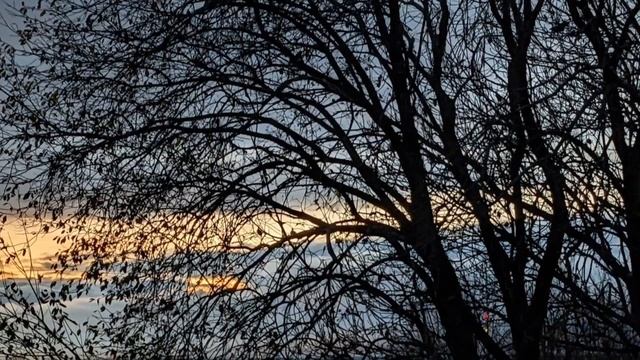 Вечерняя прогулка смотреть онлайн