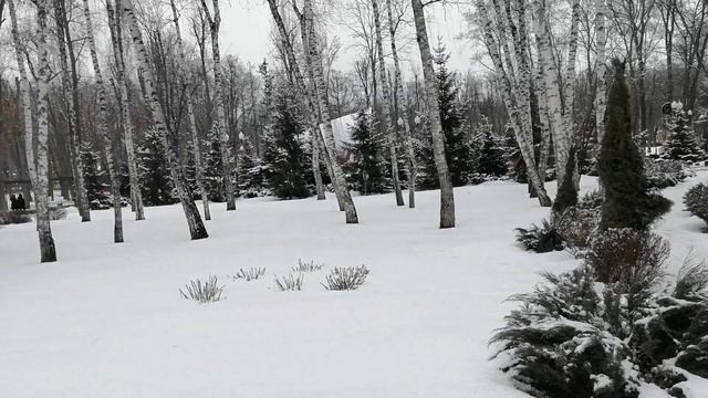 Харьков Парк Горького Февраль 2022