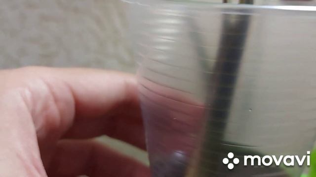 Размножение сингониумов смотреть онлайн