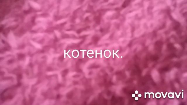 Стих.котенок. смотреть онлайн