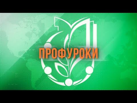 Профсоюзные уроки в школах № 630 и № 1290 смотреть онлайн