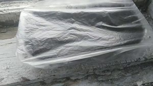 МОЖНО ЛИ ВЫРАСТИТЬ ЯБЛОНЮ ИЗ СЕМЕЧКА В ДОМАШНИХ УСЛОВИЯХ ?