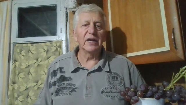 Служение исцеление Борислав 14.10.2022 смотреть онлайн