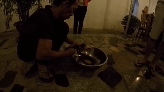 Церемония Поедания Королевской Кобры смотреть онлайн