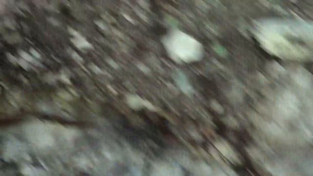 Грозный - Шарой смотреть онлайн