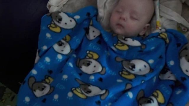 Электрокачель для новорожденных Baby Swing Picks Graco Sweetpeace смотреть онлайн