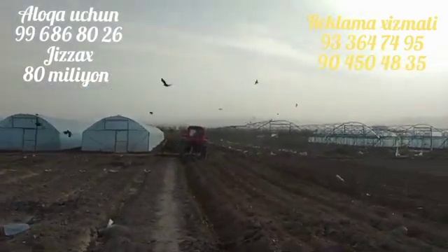 1-fevral, 2024 yil tixnika narxlari bilan tanishing смотреть онлайн