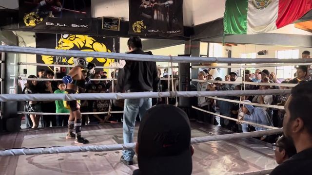Torneo Proelium II by Warriors Thai. Valle de Bravo 2023. Parte2 смотреть онлайн