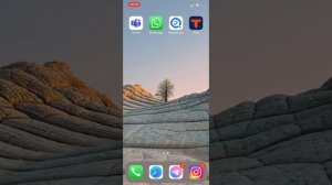 Как скачать Reels из Инстаграм на телефон?