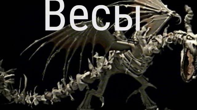 Кто ты по знаку зодиака из мультика как приручить дракона смотреть онлайн