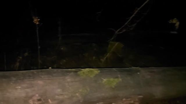 ЗАГОВОР НА БУРЕЛОМ... ОТ НЕДРУГОВ... ДЛЯ ВСЕХ... ★ ВЕДЬМИНА ИЗБА ★ ИНГА ХОСРОЕВА ★ МАГИЯ смотреть онлайн
