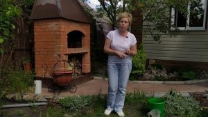 Любимые органические подкормки гортензии / Садовый гид