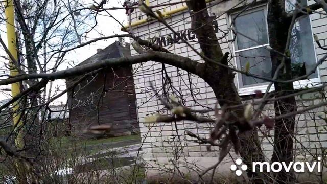 SOS!! Нас заливает//Мышцы болят до паники// Кошка МЫШКА ЛЮБИМАЯ// смотреть онлайн