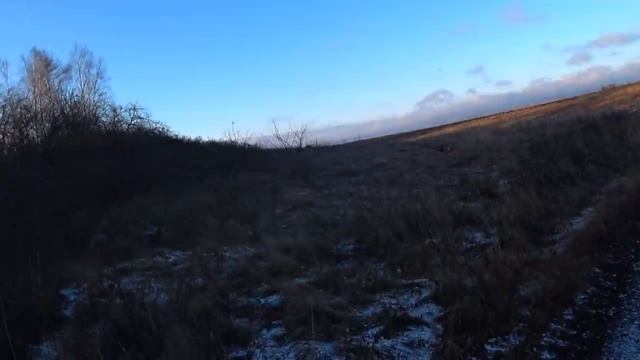 Открылись по лисе 18 11 23 г смотреть онлайн