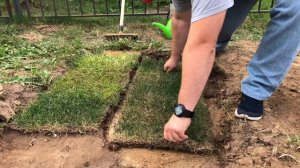 Лучший газон на песке, грунте или торфе? Ответ тут!