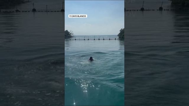 Куба. Cuba. 古巴。 смотреть онлайн