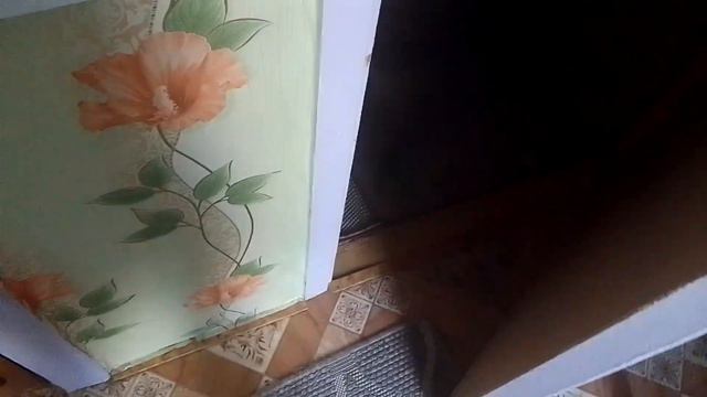 Кот Марс. Высказался и ушёл. смотреть онлайн