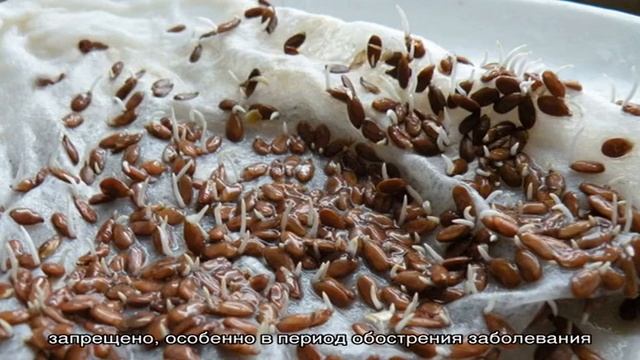 Полезные свойства семени льна. Кому и как нужно принимать льняное семя? Народные рецепты смотреть онлайн