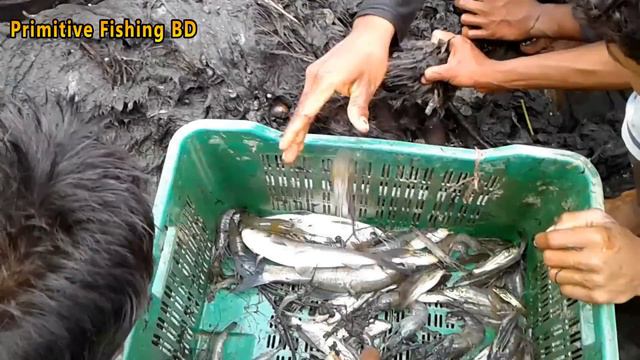 Amazing Big Fish Catching From River Using Fishing Net By Hand