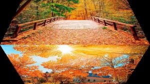 Шопен посмертный ноктюрн