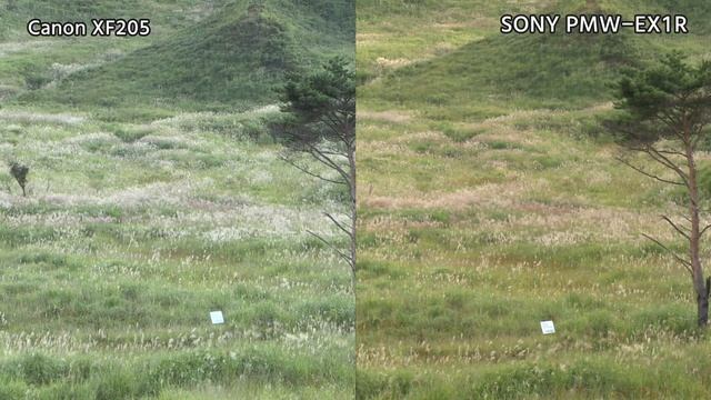 カメラ機材マニア向け動画　Canon XF205 VS SONY PMW-EX1R 実写比較 смотреть онлайн