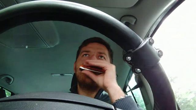 Песня про мели на губной гармошке смотреть онлайн