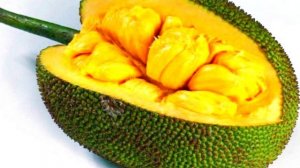 ЧТО ЗА ФРУКТ ДЖЕКФРУТ