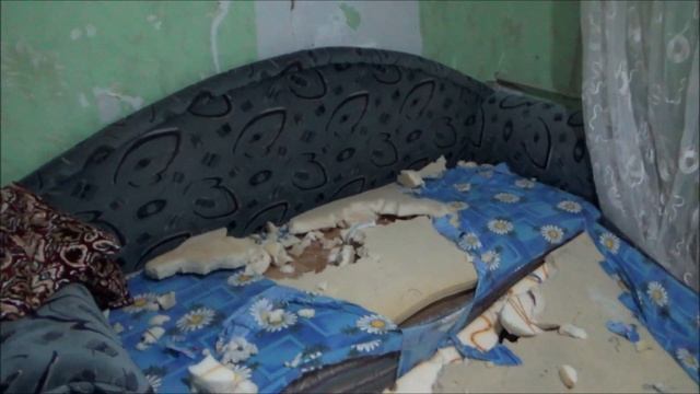 Щенок стафф - терьера съел диван | The Staff Terrier puppy ate the sofa.Victoria S смотреть онлайн