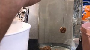 Херабуна ( Herabuna )  какой...  ГЛЮТЕН... выбрать.