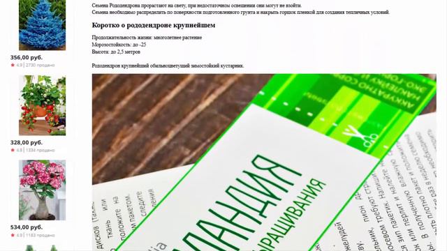 Рододендрон крупнейший СЕМЕНА 20 шт Семена цветов смотреть онлайн