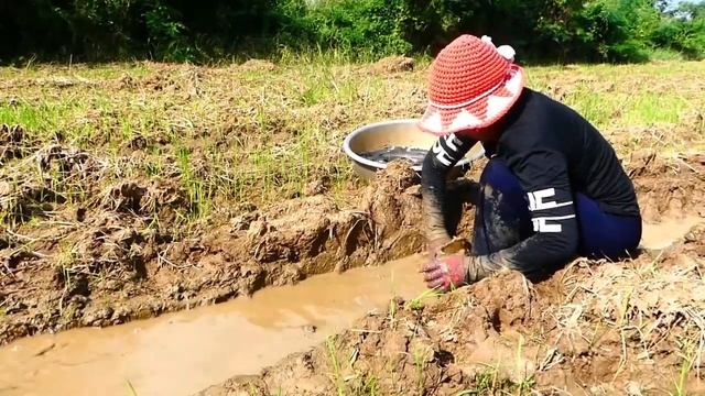 best hand fishing - pick a lots of duck eggs on road at field near river by hand a fisherman skill смотреть онлайн