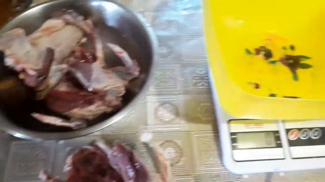 Голуби Краматорска, сколько весит тушка голубя? смотреть онлайн